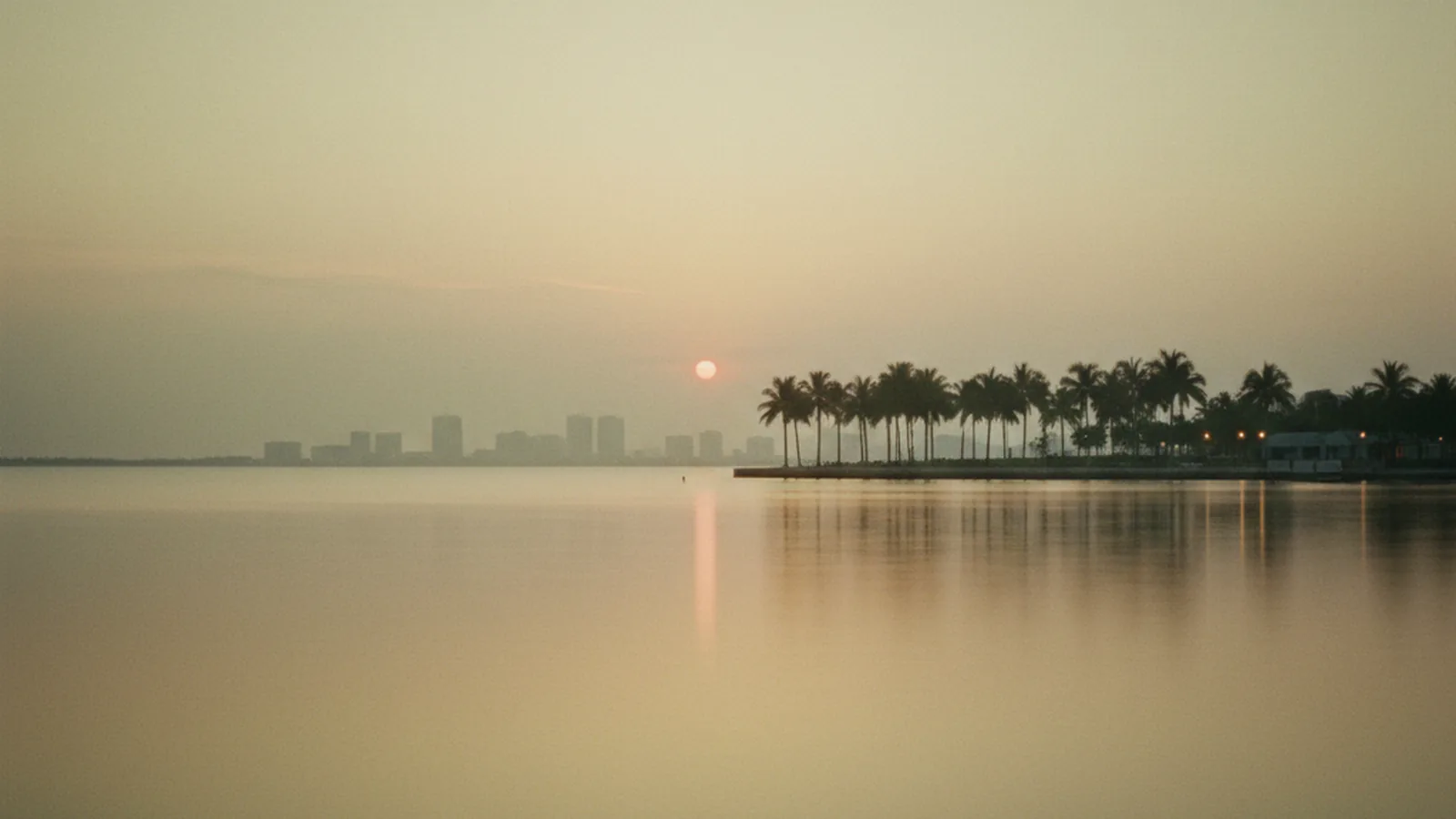 Mind Link psychiatric care serving Edgewater, FL