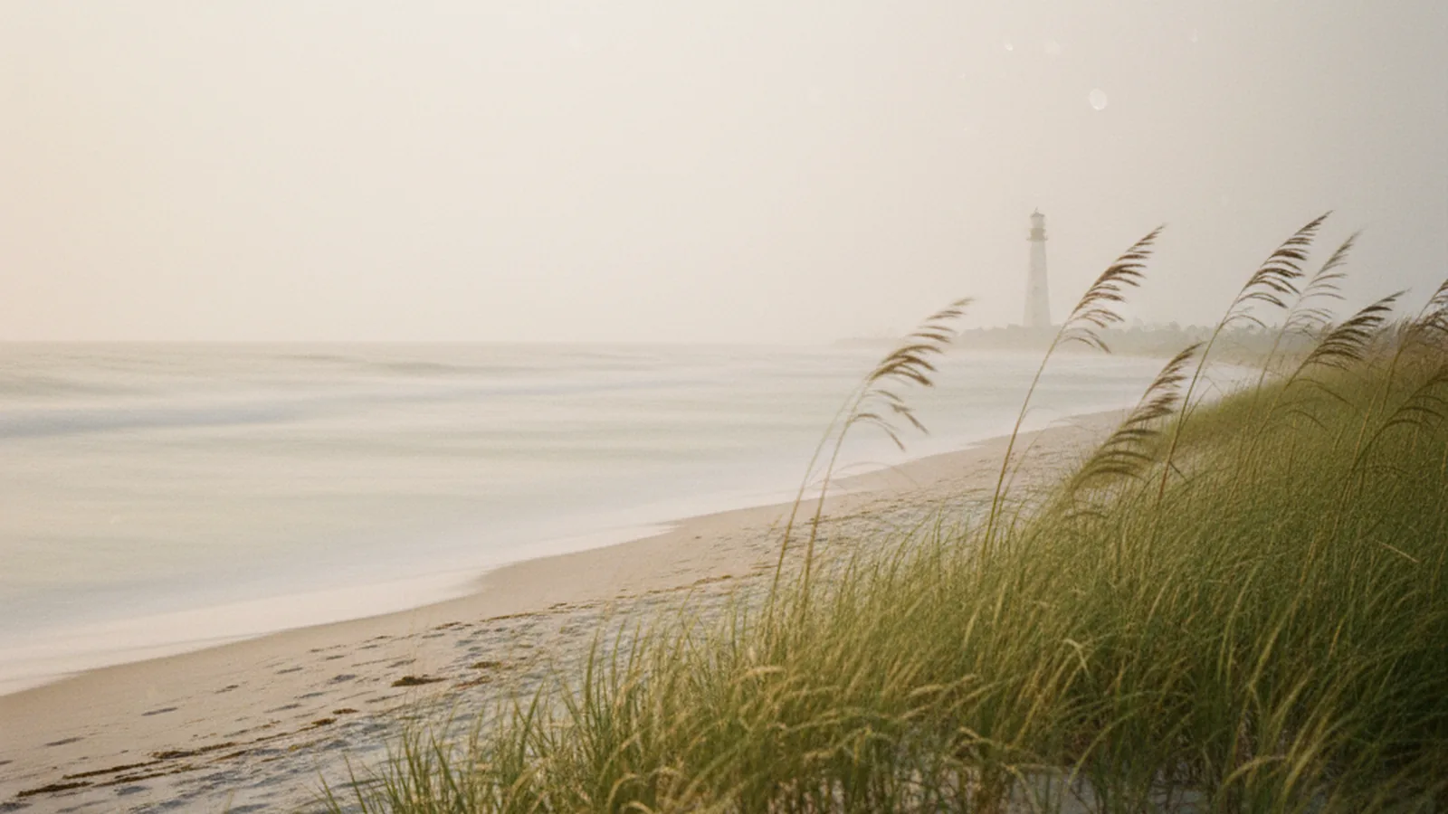 Mind Link psychiatric care serving Key Biscayne, FL